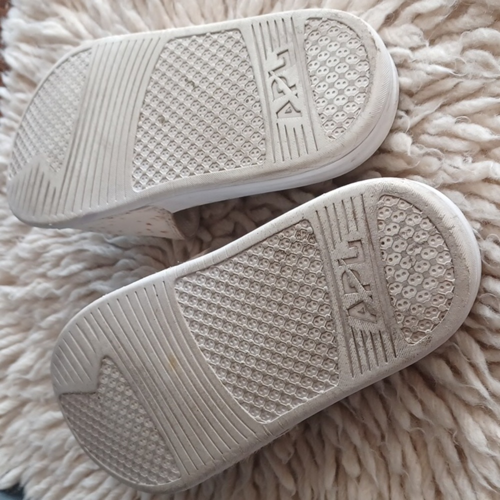 Apl Slides - image 5